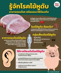 รู้จักโรคไข้หูดับ อาการของโรค พร้อมแนะวิธีป้องกัน