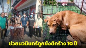 สะเทือนใจ! มูลนิธิดังเข้าช่วย สุนัข “นวมินทร์” ถูกขังตึกร้าง อยู่ในความมืดนาน 10 ปี