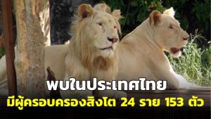 อุทยานฯ เผยมีผู้ครอบครองสิงโต 24 ราย 153 ตัว เตรียมออกประกาศบุคคลห้ามครอบครองสัตว์อันตราย 10 ชนิด