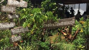 เสียน้ำตาที่ร้านปลาเขื่อน!?! ถ้ายังไม่ตาย – ผ่านไปต้องกิน/หนังเร่