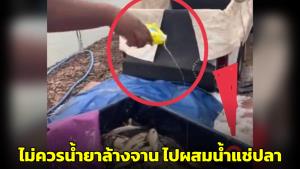 "อ.เจษฎ์" ยันไม่ควรนำน้ำยาล้างจานไปผสมน้ำแช่ปลา ชี้อันตรายทำให้เกิดความระคายเคืองสูง