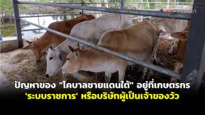 ปัญหาของ “โคบาลชายแดนใต้” อยู่ที่เกษตรกร ‘ระบบราชการ’ หรือบริษัทผู้เป็นเจ้าของวัว