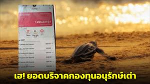 “ดร.ธรณ์” ขอบคุณผู้ร่วมบริจาคสนับสนุนกองทุนอนุรักษ์เต่า พร้อมเผยช่องทางบริจาคช่วย