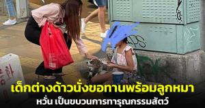 "จ่าพิชิต" เผยภาพเด็กหญิงต่างด้าวนั่งขอทานพร้อมลูกหมา หวั่นเป็นขบวนการทารุณกรรมสัตว์