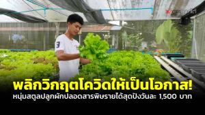 (ชมคลิป) พลิกวิกฤตโควิดให้เป็นโอกาส! หนุ่มสตูลปลูกผักปลอดสารพิษ รายได้สุดปังวันละ 1,500 บาท