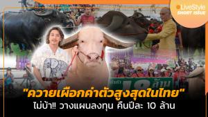 [คลิป] "ควายเผือกค่าตัวสูงสุดในไทย" ไม่บ้า!! วางแผนลงทุน คืนปีละ 10 ล้าน!!