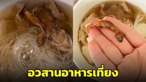 ไวรัลภาพ! เคล็ดลับความอร่อย? หลังพบซากจิ้งจกในชามก๋วยเตี๋ยวหมูตุ๋น