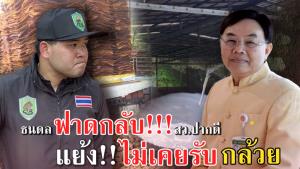 “ธนดล” แย้ง “ไม่เคยรับกล้วย”  ฟาดกลับ สว. ปากดี แน่จริงงัดหลักฐานมาสู้