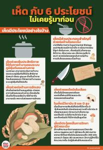 เห็ด กับ 6 ประโยชน์