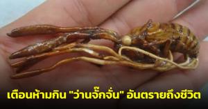 “หมอแล็บฯ” เตือน "ว่านจั๊กจั่น" ไม่ใช่ว่านห้ามกินเด็ดขาด อันตรายถึงชีวิต