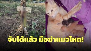 จับได้แล้ว! สาวใจอำมหิตฆ่าแมวอย่างน่าเวทนา อ้างแมวตัวที่ฆ่าเคยกัดแมวตัวเองตาบอด