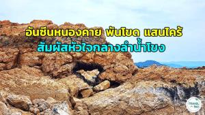 อันซีนหนองคาย “พันโขด แสนไคร้” สัมผัส “หัวใจ” กลางลำน้ำโขง