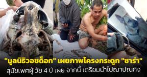 "มูลนิธิวอชด็อก" เผยภาพโครงกระดูก "ซาร่า" สุนัขเพศผู้ วัย 4 ปี เผยจากนี้เตรียมนำไปฌาปนกิจ
