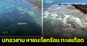 ดร.ธรณ์เผยบทอวสาน หายนะโลกร้อน ทะเลเดือด หญ้าทะเล 810 ไร่ที่เกาะกระดาดตายหมดเกลี้ยง