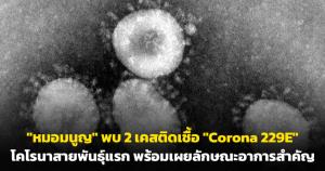 "หมอมนูญ" พบ 2 เคสติดเชื้อ "Corona 229E" โคโรนาสายพันธุ์แรก พร้อมเผยลักษณะอาการสำคัญ