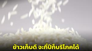 คณบดีคณะอุตสาหกรรมอาหารยันหากข้าวเก็บดีจะกี่ปีก็บริโภคได้ แต่คุณค่าทางโภชนาการจะลดลง