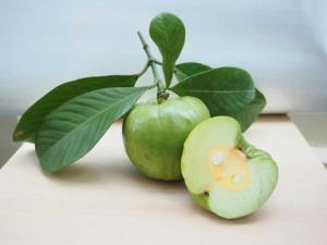 “พาณิชย์”ขึ้นทะเบียน GI ใหม่ “ส้มควายภูเก็ต” ช่วยเพิ่มรายได้เกษตรกร