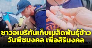 ทึ่ง! ฝรั่งเก็บเมล็ดพันธุ์ข้าววันพืชมงคลเพื่อเป็นสิริมงคล นำไปเลี่ยม-ให้เพื่อนและครอบครัว