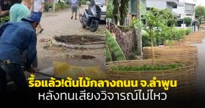 รื้อแล้ว!ต้นไม้กลางถนน จ.ลำพูน หลังทนเสียงวิจารณ์ไม่ไหว