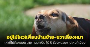อยู่ไม่ไหว!เพื่อนบ้านซ้าย-ขวาเลี้ยงหมา เห่าที่ไม่ต้องนอน เผย ทนมาเป็น 10 ปี ร้องหน่วยงานไหนก็เงียบ