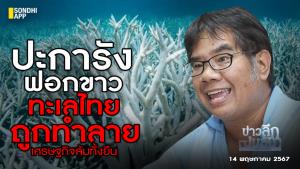 ข่าวลึกปมลับ : ปะการังฟอกขาว ทะเลไทยถูกทำลาย เศรษฐกิจล้มทั้งยืน