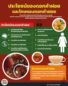 ประโยชน์ของดอกคำฝอย และโทษของดอกคำฝอย