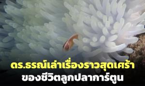 ดร.ธรณ์เล่าเรื่องสุดสะเทือนใจของชีวิตลูกปลาการ์ตูน ที่ทยอยตายเพราะไม่มีดอกไม้ทะเล