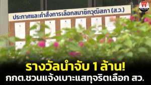 รางวัลนำจับ 1 ล้าน! กกต.ชวนแจ้งเบาะแสทุจริตเลือก ส.ว.