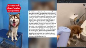 โซเชียลมันน่ากลัว! “สาวโอด” โดนทัวร์ลงหนักหลังถูกเข้าใจผิดคิดว่าเป็นเจ้าของน้องหมาที่ถูกทำร้าย
