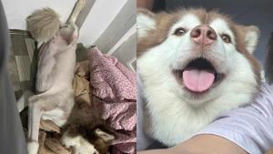 ห่วงน้องเครียด ท้องแก่! ฝากถึงนักข่าวตาม “เล็ก เล็ก” ขอให้ห่างกันสักพัก
