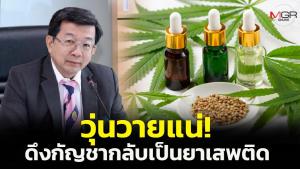 “หมอธวัชชัย” ชี้ดึงกัญชากลับสู่ยาเสพติดวุ่นวายแน่ ยันก่อนปลดล็อกผ่านการศึกษาข้อมูลมากแล้ว เริ่มจากยุค “หมอปิยะสกล” ไม่ใช่การเมือง