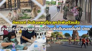 อัพเดต! จับลิงลพบุรีทะลุกว่าพันตัวแล้ว ล่าสุดเร่งทำความสะอาดเมืองเพื่อคืนรอยยิ้มให้ ปชช.