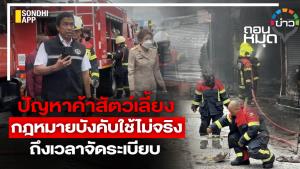 ปัญหาค้าสัตว์เลี้ยง กฎหมายบังคับใช้ไม่จริง ถึงเวลาจัดระเบียบ