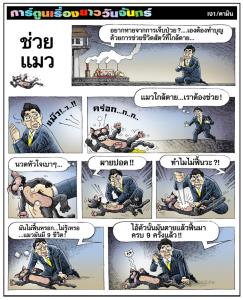 ช่วยแมว