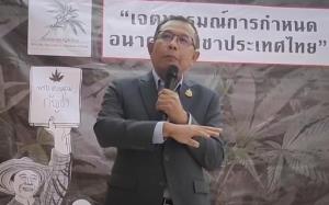 "ศุภชัย"ยันกัญชาต้องมี พ.ร.บ.ควบคุม เอาอคติทิ้งไปแล้วมองประชาชนเป็นศูนย์กลางมองประโยชน์ประชาชนเป็นหลัก