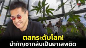 “หมอธีระวัฒน์” ชี้ตลกระดับโลก! กรรมการชุดเดิมให้กัญชาออกจากยาเสพติด แล้วนำกลับเข้าไปอีกครั้ง