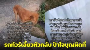คดีพลิก! ใจบุญผิดที่ หลังป้าให้อาหารสุนัขจรจัดหน้าบ้านคนอื่น แถมท้าเจ้าของแจ้งความ (ชมคลิป)