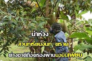 (คลิป) Save สวนทุเรียนจันทบุรี-ตราด หลังพบทุนจีนยึดครองผ่านนอมินีเพียบ