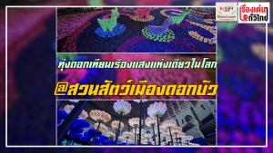 (คลิป)เข้าพรรษานี้ต้องแวะทุ่งดอกเทียนเรืองแสง@สวนสัตว์อุบล