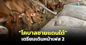“โคบาลชายแดนใต้” เตรียมเดินหน้าเฟส 2 กับข้อระวังซื้อวัวมาเองไม่ตรงสเปก