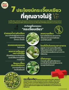 7 ประโยชน์กระเจี๊ยบเขียว ที่คุณอาจไม่รู้