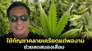 “หมอธีระวัฒน์” เผยผลวิจัยใช้กัญชาคลายเครียดแต่พองาม ช่วยลดสมองเสื่อม