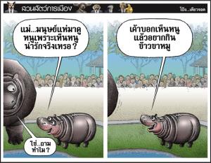 หมูเด้งสงสัย