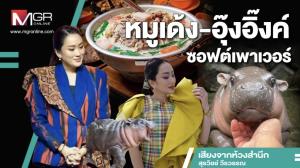หมูเด้ง-อุ๊งอิ๊งค์-ซอฟต์เพาเวอร์