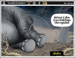 เห็บช้าง