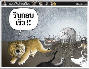 หมาช่วยนาย