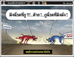 พฤติกรรมก่อนหมากัดกัน