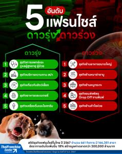 ไทยแฟรนไชส์เซ็นเตอร์ สำรวจแฟรนไชส์ดาวรุ่ง และดาวร่วง ปี 2567