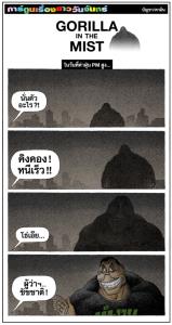 Gorilla in the mist