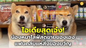 (ชมคลิป) เจ้าของมาเอง! น้องหมาไลฟ์สดขายขนมสุนัขเอง เจ้าของปิ๊งไอเดียสร้างรายได้สุดเจ๋ง